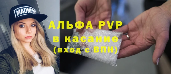 гашик Гусев