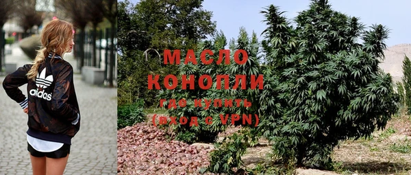 гашик Гусев