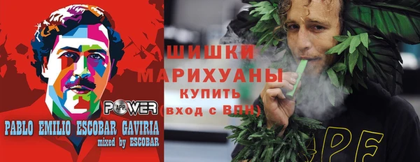 гашик Гусев