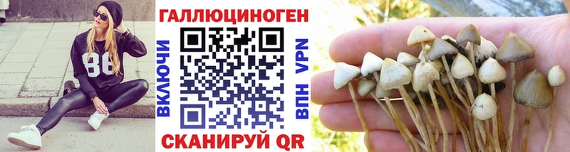 Галлюциногенные грибы Cubensis  купить наркотик  Донецк 